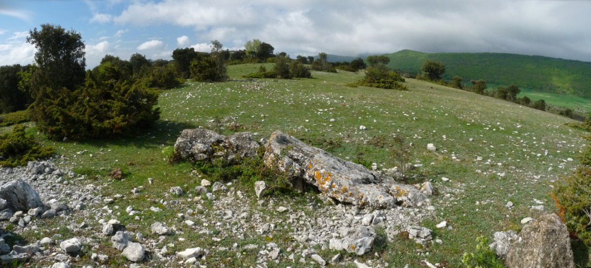 La Planillako zutarria