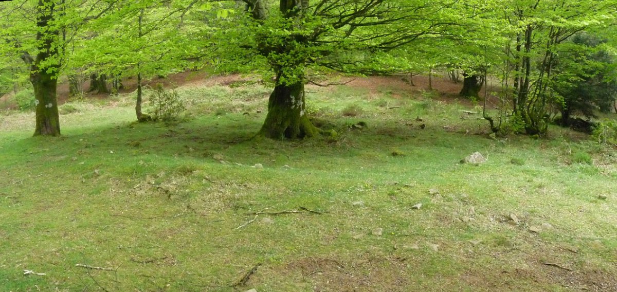 Larremiarko trikuharria