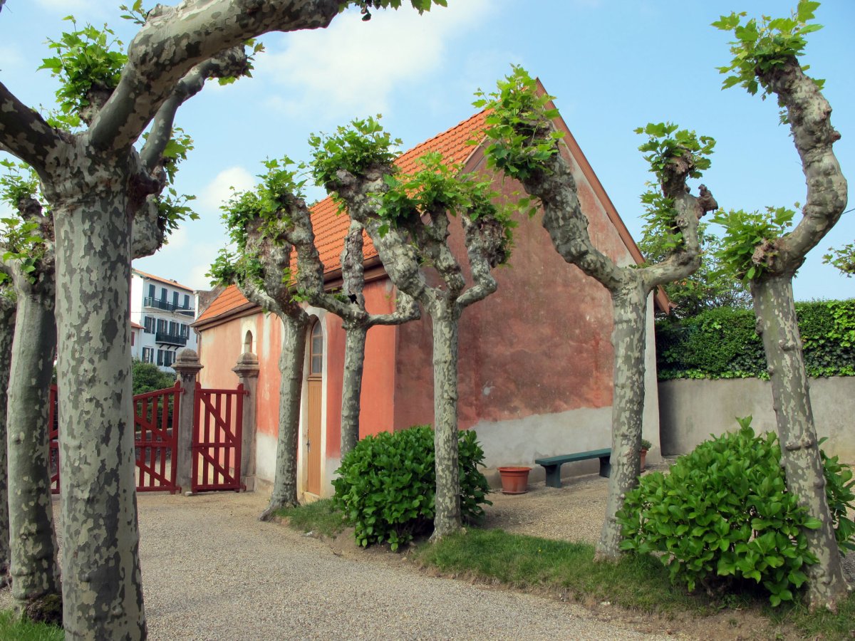 Koskenia ermita Getarin