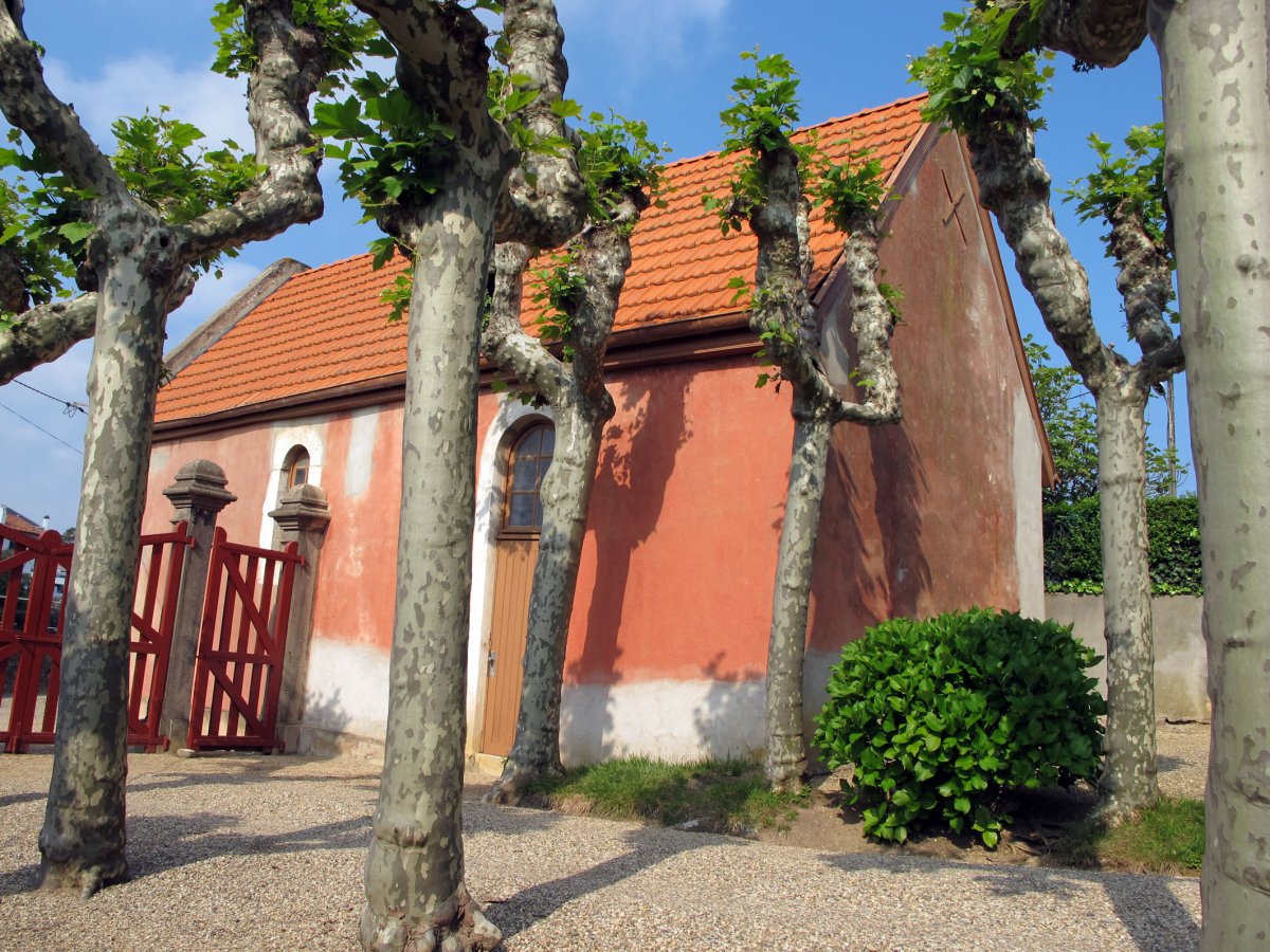 Koskenia ermita Getarin