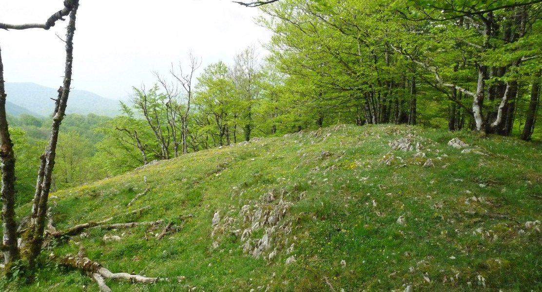 Elkarrikoako gailurra