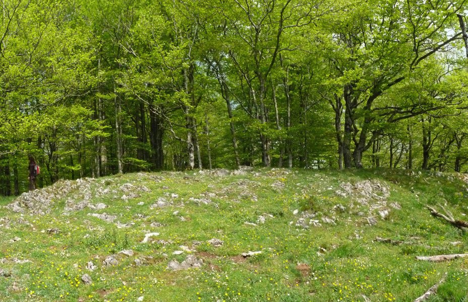 Elkarrikoako gailurra