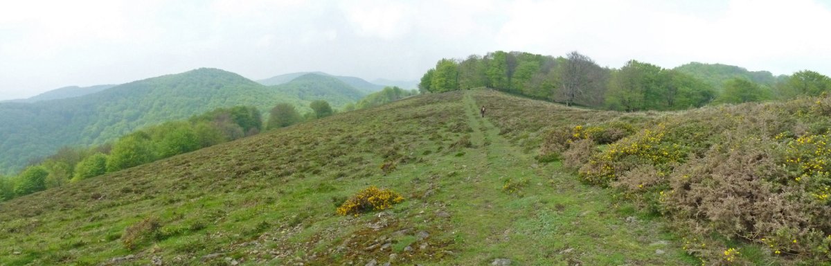 Elkarrikoako gainaldea