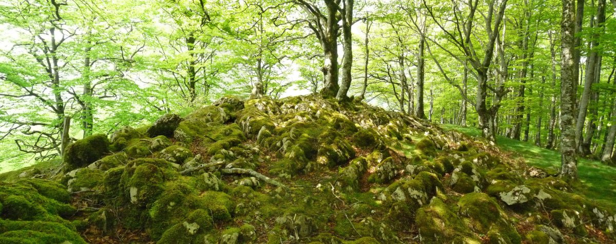 Armaltxuriko gailurra