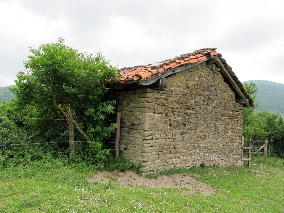 San Markos ermita Zia inguruan