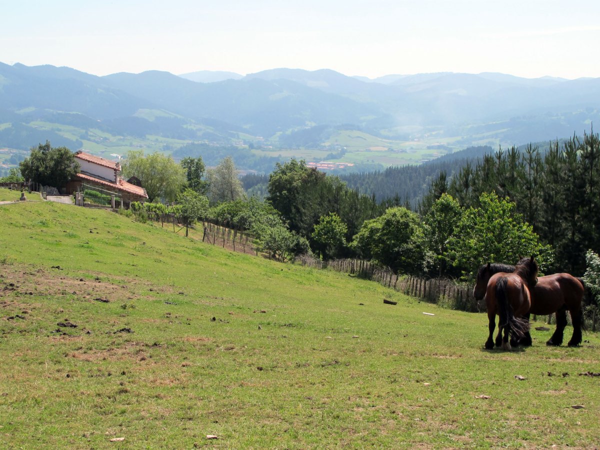 San Julian ermita Zañartu auzoan