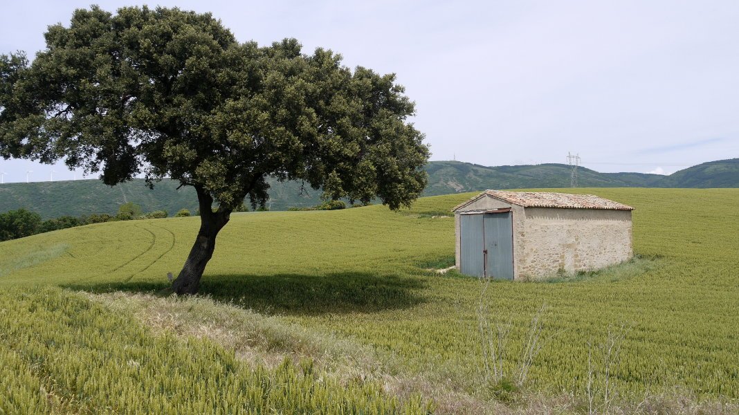 San Pedro ermita Uterga aldean