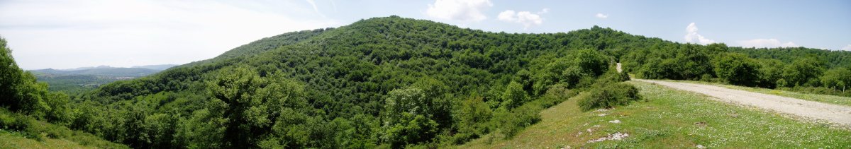 Iparraldetik ikusita