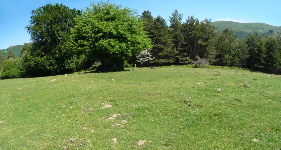 Eraztuna Tropoko lepoan (UTM 30T 665104, 4756047)