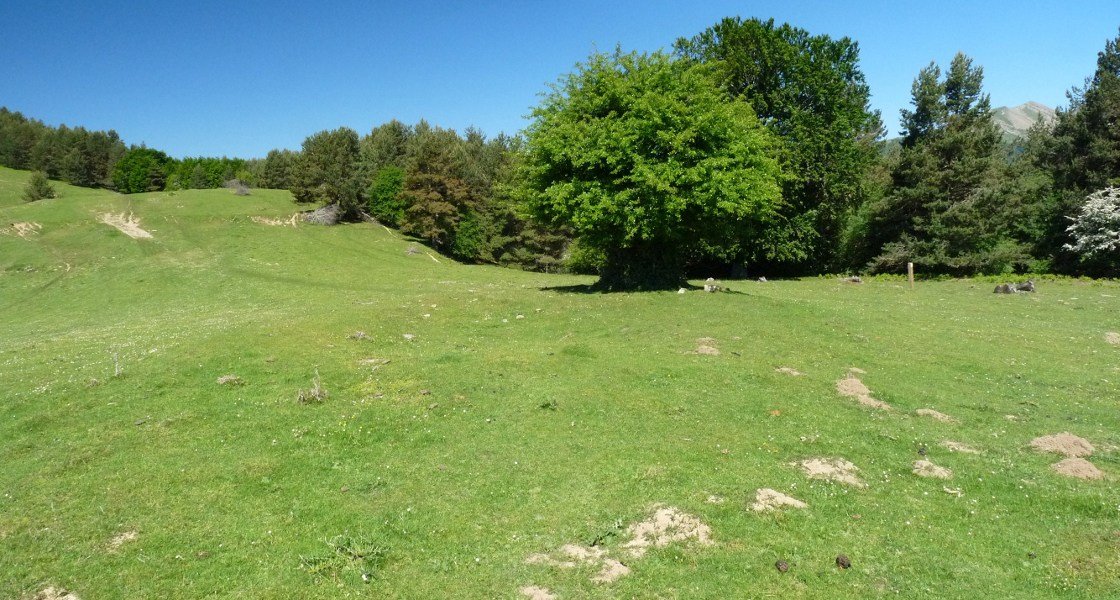 Eraztuna Tropoko lepoan (UTM 30T 665104, 4756047)