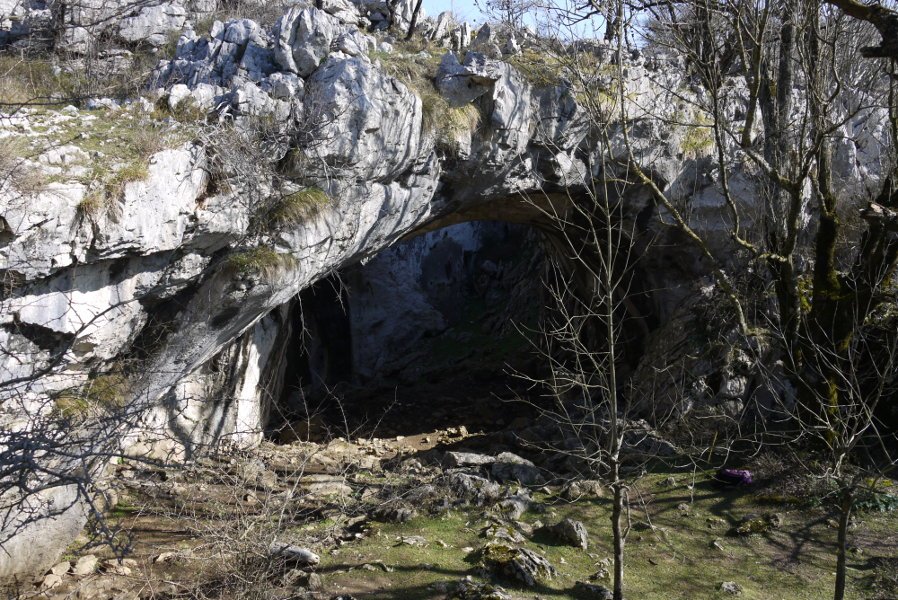 Aitzulo leizea Araotz aldean