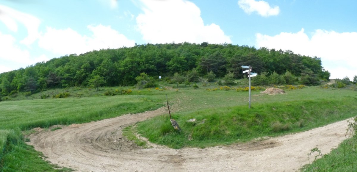 Andrikaingo harratea