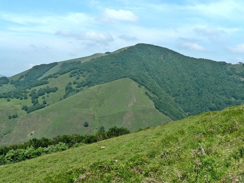 Irakurrira Doan Bidetik