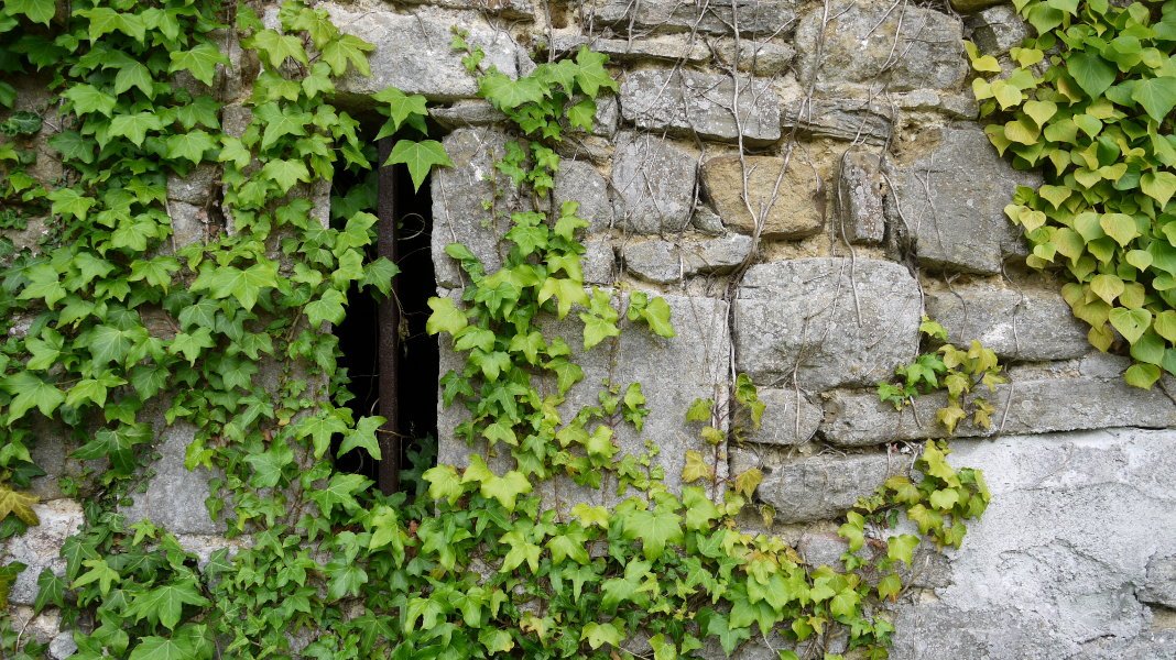 Leiho baten xehetasuna