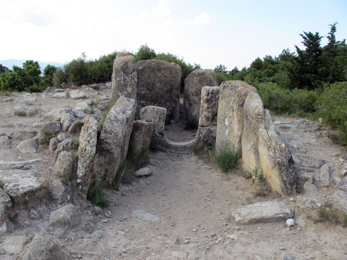 Farangortea trikuharria