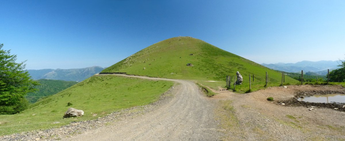 Txaruta hegoaldeko lepotik