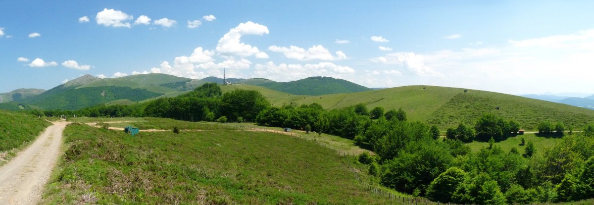 Belate inguruko mendiak 