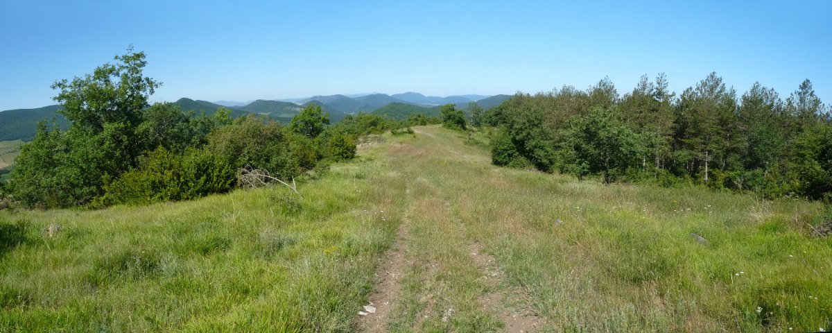 Odietatik igotzen den bidea