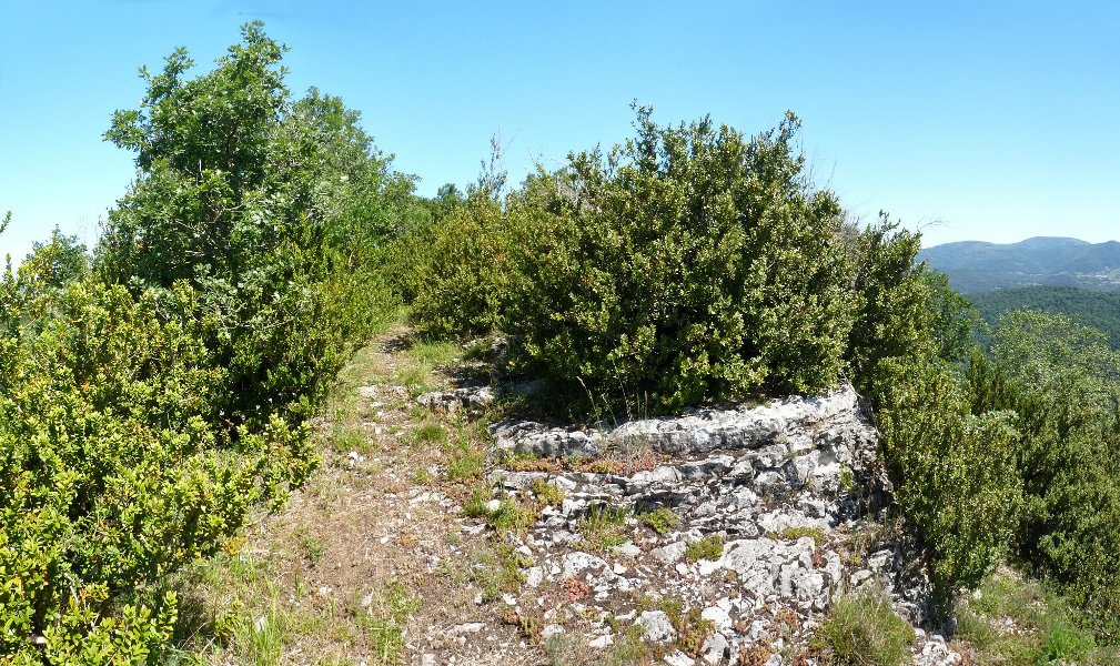 Talaia harritsu bat, paisaia zabalak miresteko egina dirudiena