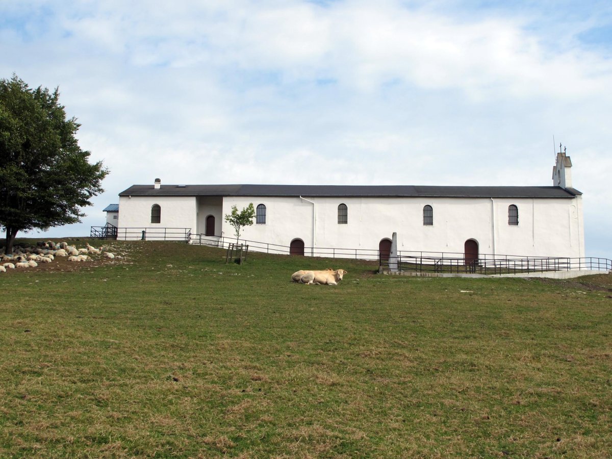 San Antonio ermita Muskildi aldean