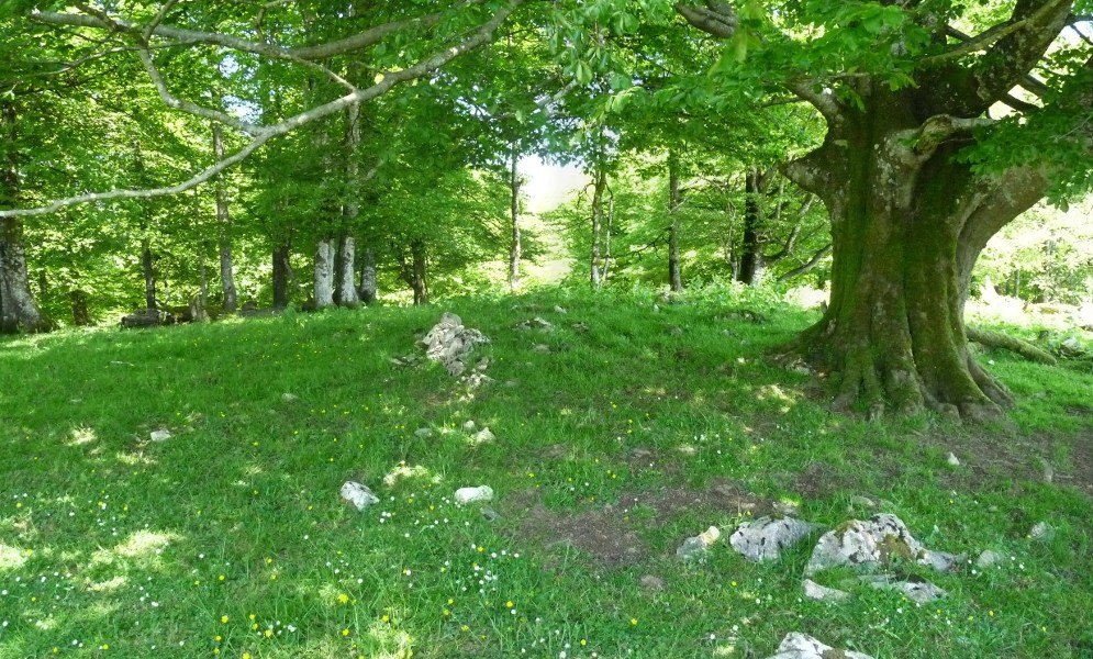 Sanmigelargaingo gailurra