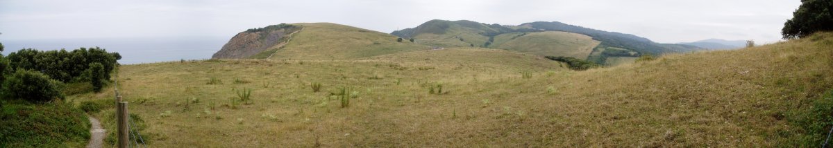 Antekera muinotik ikusita