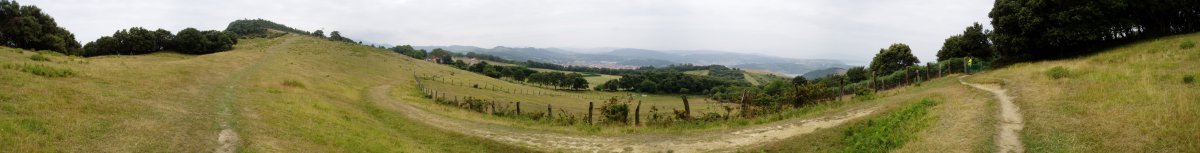 Mendebaldeko bizkarra