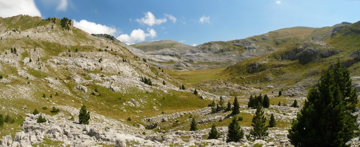 Larrako harratearen sakana