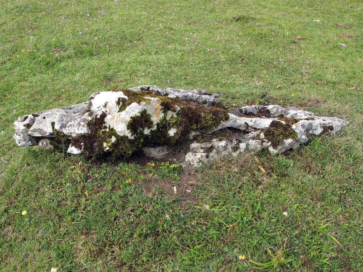 Urdiaingo Portua zutarria