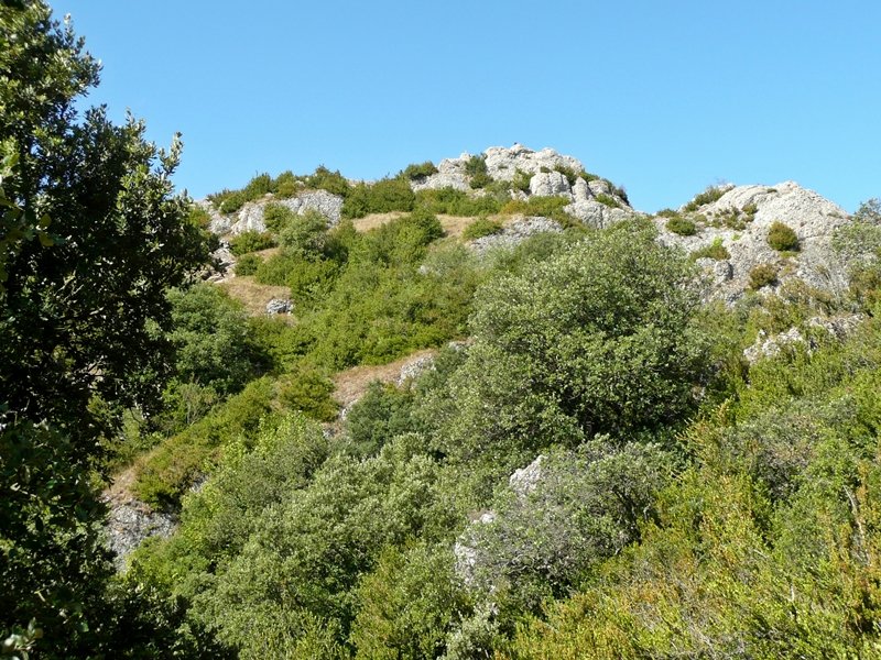 Azken Aldapa Buzoidun Tontorrera