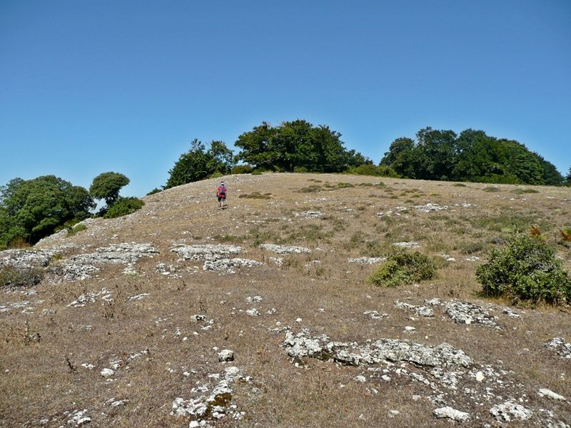 Azken Aldapa Buzoidun Tontorrera