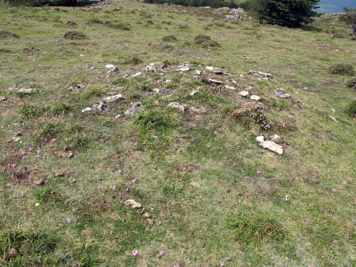 Txopordi mendebal eremu tumularra