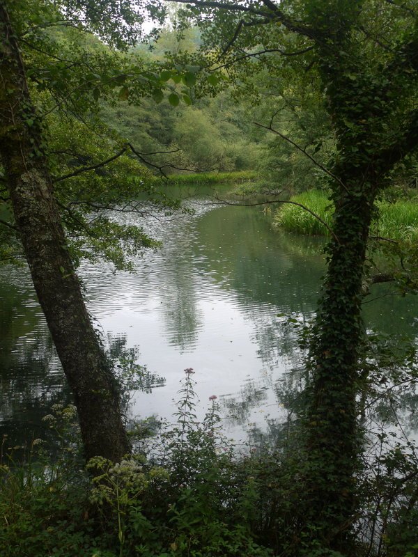 Leitzaran ibaia tarte bare batean