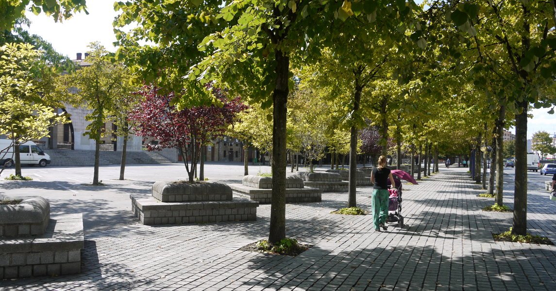 Errenteriako Zumardira sartzen