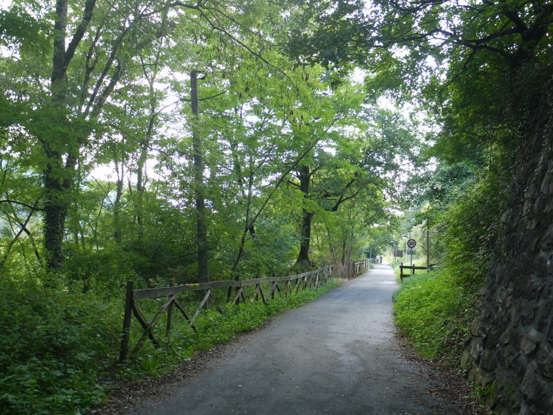 Jaitsiera Ergoien aldera