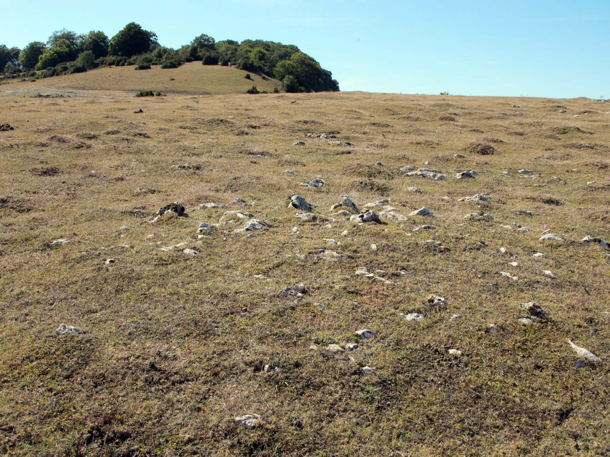 REGALBAR 2 mendebal tumulua