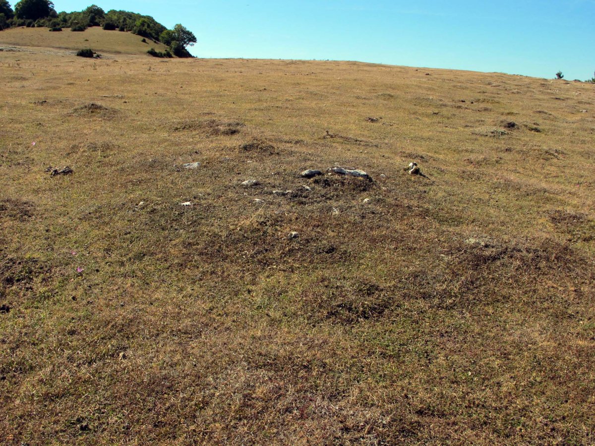 REGALBAR 1 ekialde tumulua