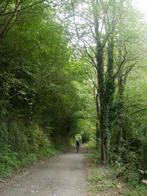 Sunbillatik Igantzirako bidean