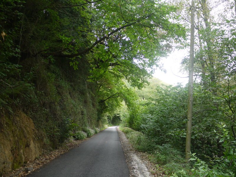 Igantzitik Lesakarako tartean