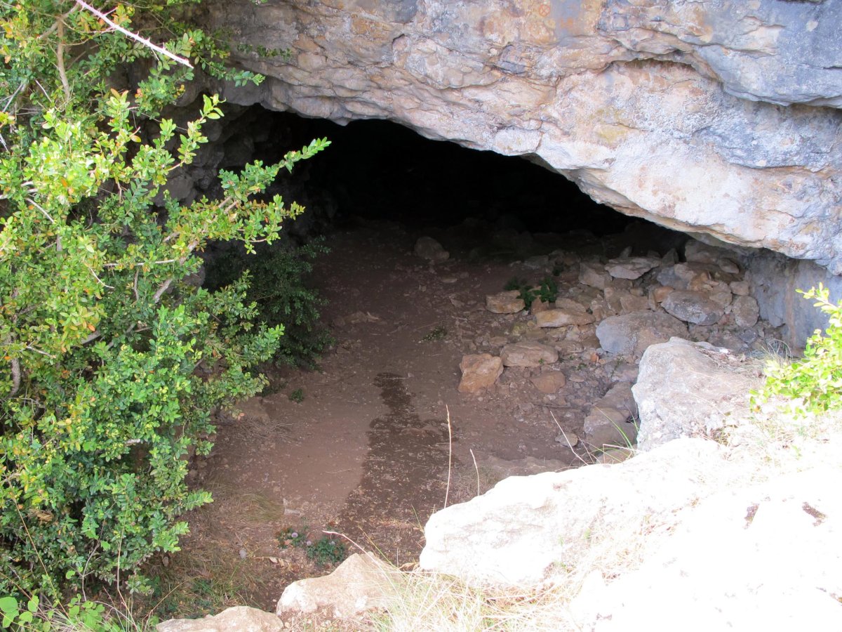 Ganuza mendatean dagoen kobako sarrera