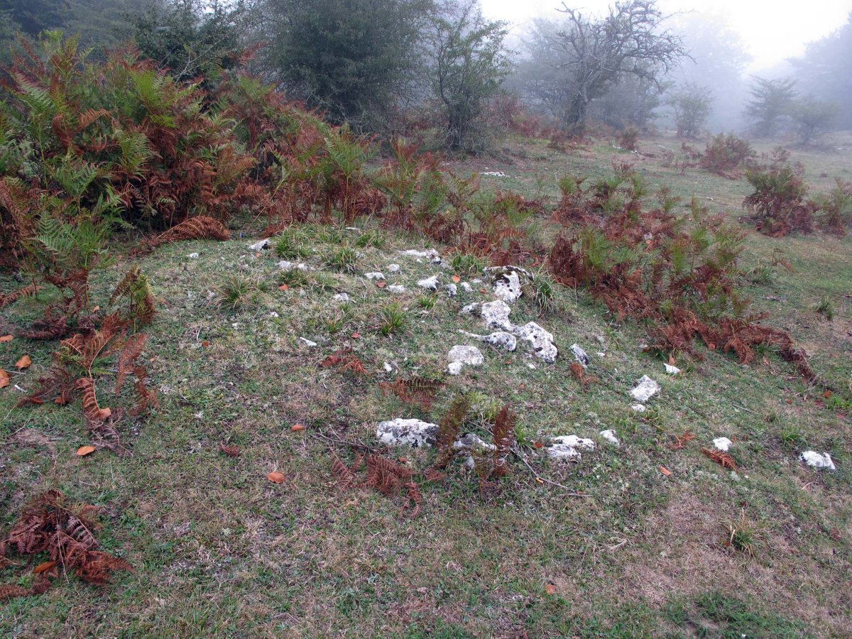 Siasmuno 3-go tumulua