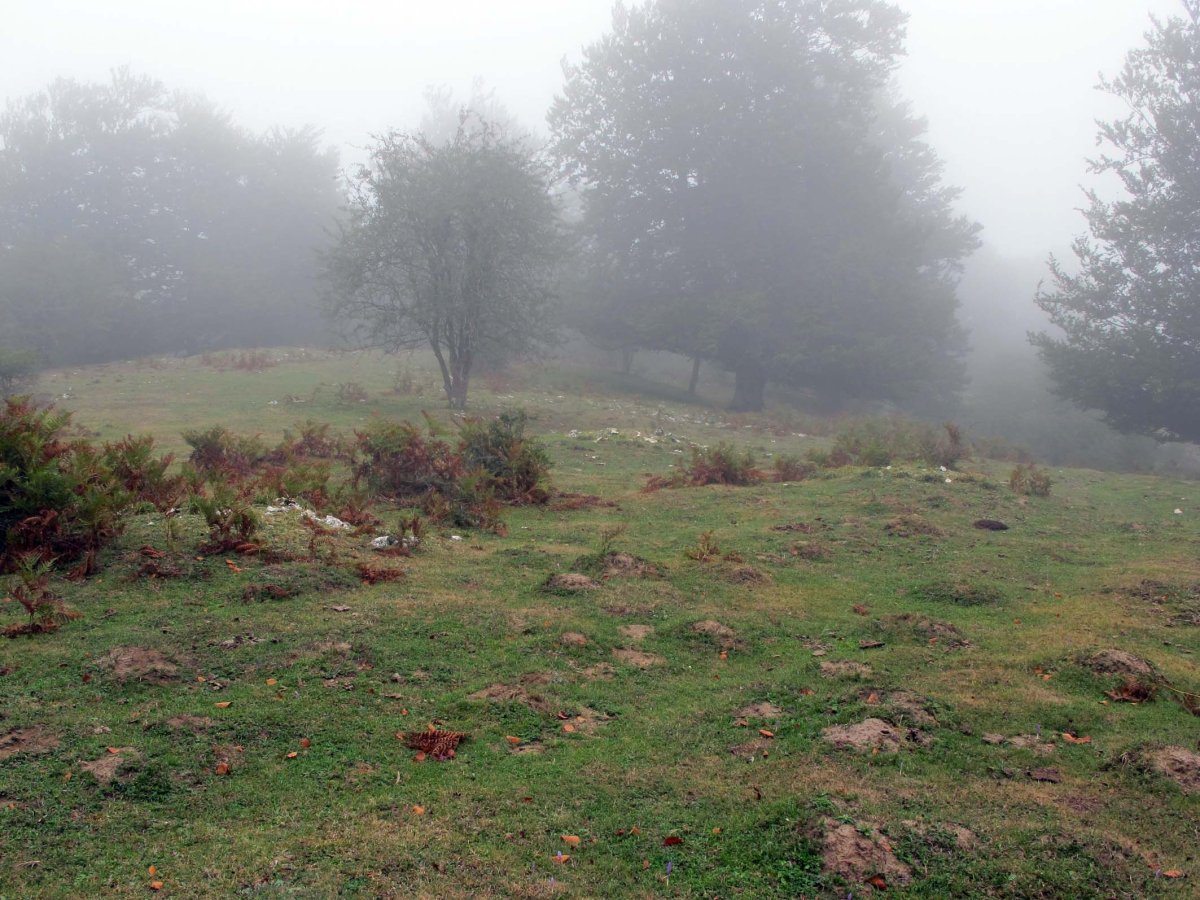 Siasmuno 3 tumuluak batera