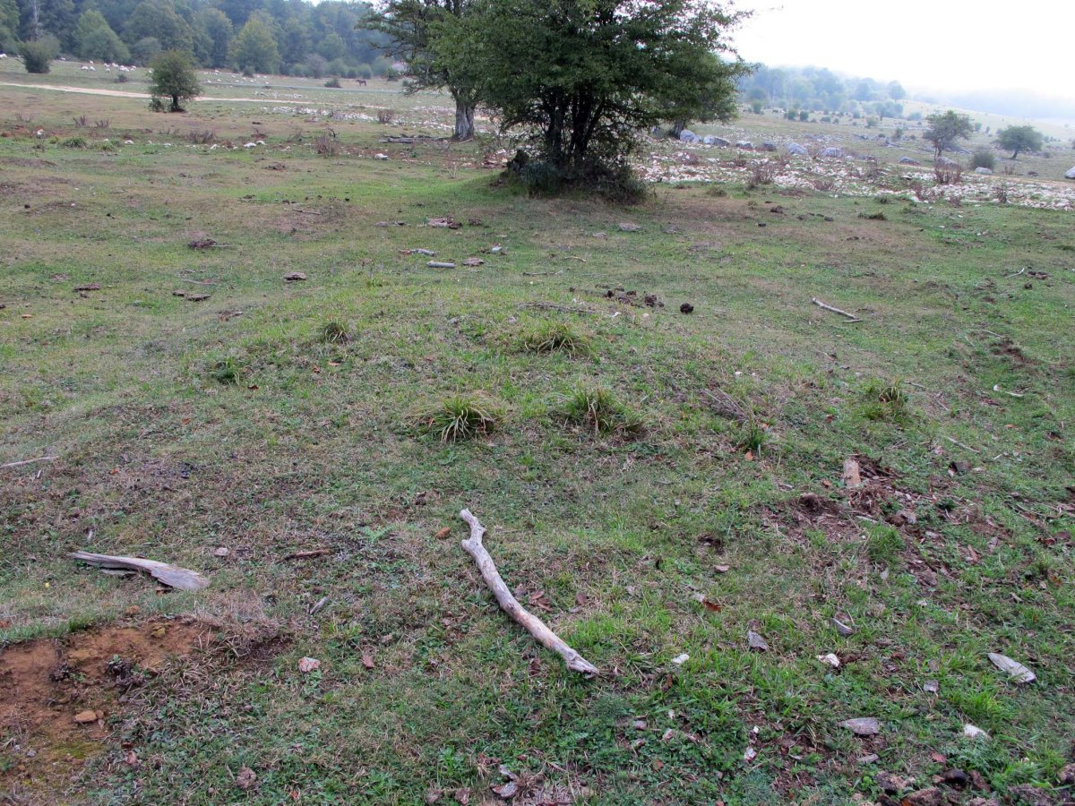 EZKIZA 2 mendebal tumulua