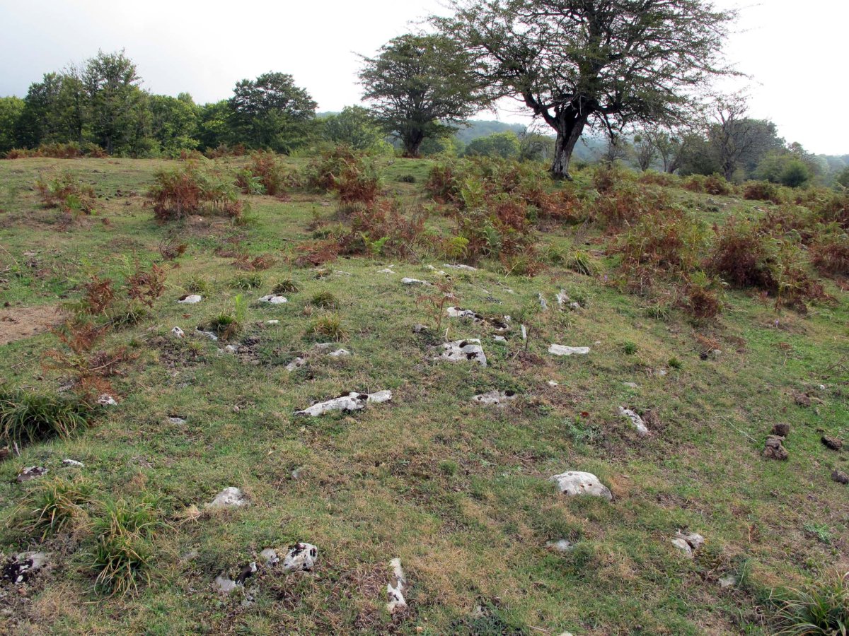 SIASGAIN 1-go tumuloa