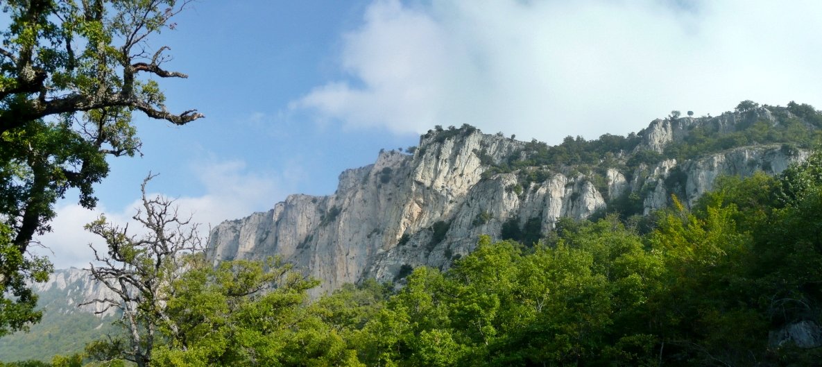 Ullibarri Gaineko Amildegiak