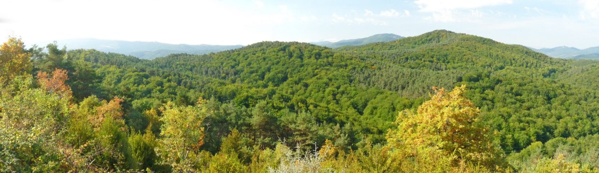 Karrobide eta inguruko gainak