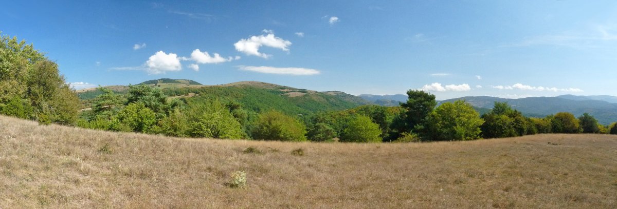 Panorama zabala El fuertetik