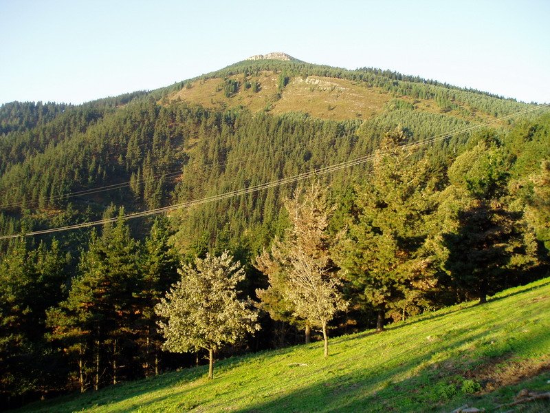 Ipar-ekialdetik ikusita