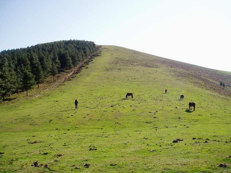 Mendebaldetik ikusita
