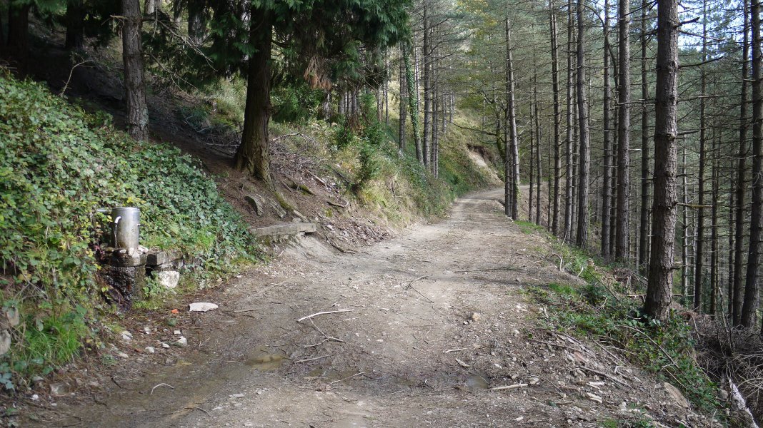 Aitzolako iturria bidean